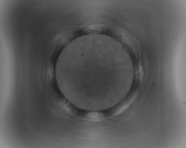 X0000111470231200908031407