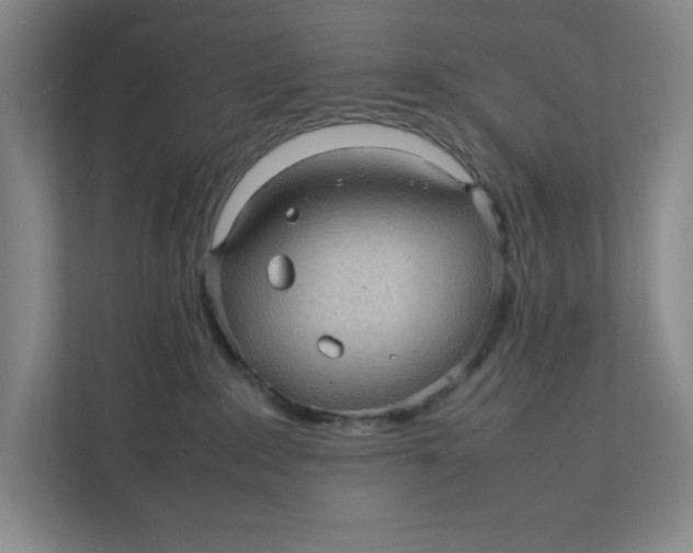 X0000111470235200908031406