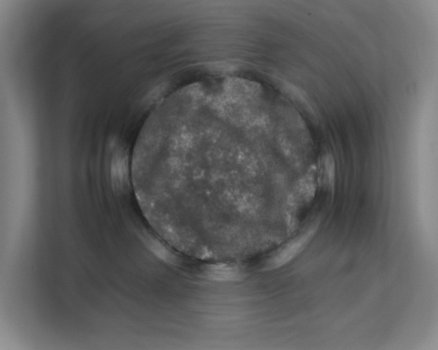 X0000111470238200908031406