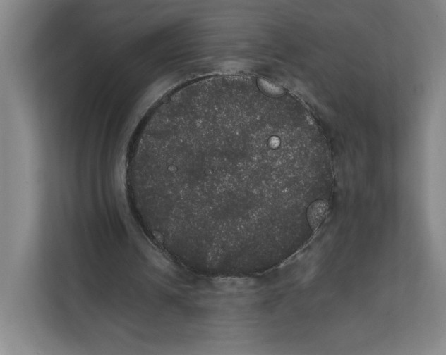 X0000111470242200908031406