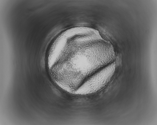 X0000111470243200908031406