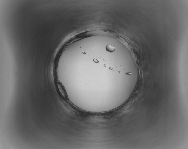 X0000111470244200908031406