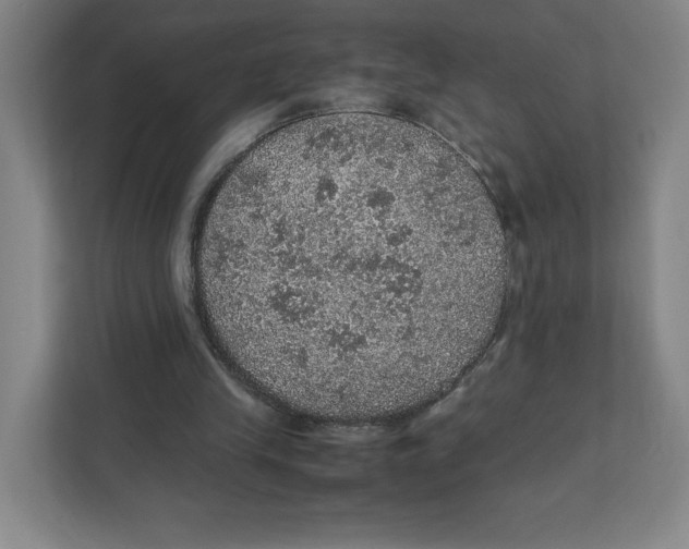 X0000111470245200908031406