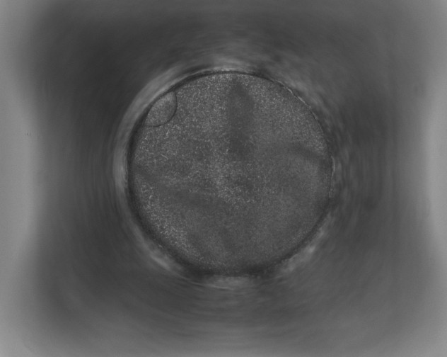 X0000111470247200908031406