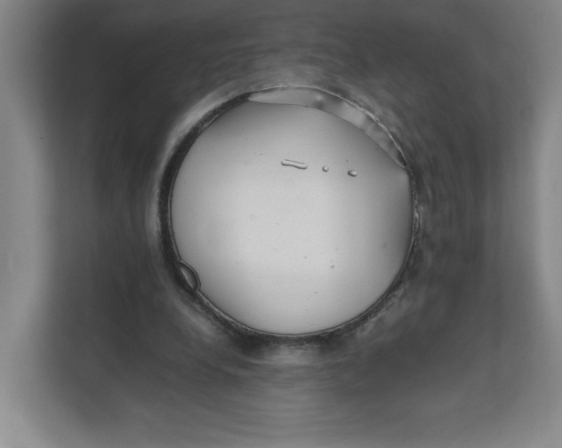 X0000111470248200908031406