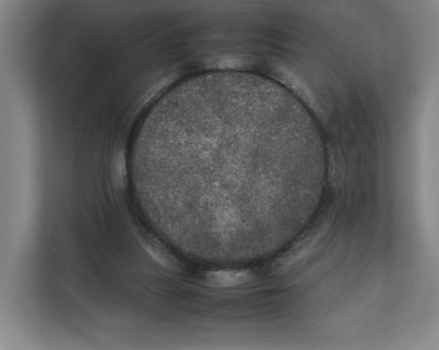 X0000111470251200908031406