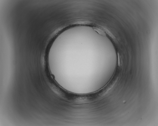 X0000111470252200908031406