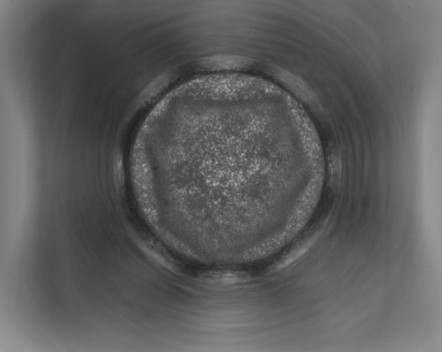 X0000111470254200908031406