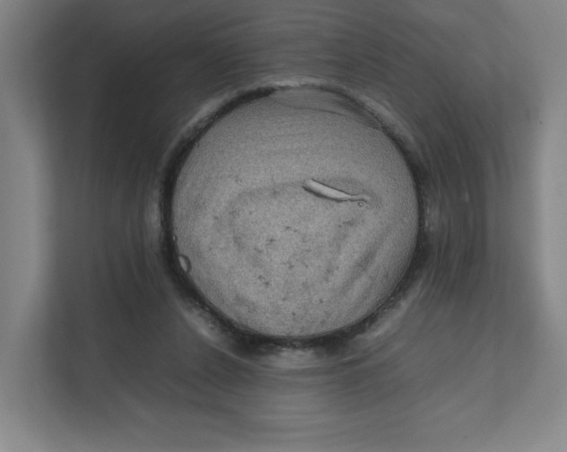 X0000111470256200908031406