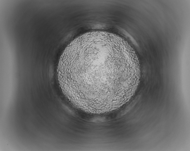 X0000111470257200908031406