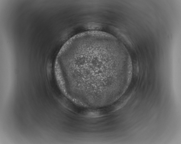 X0000111470263200908031406