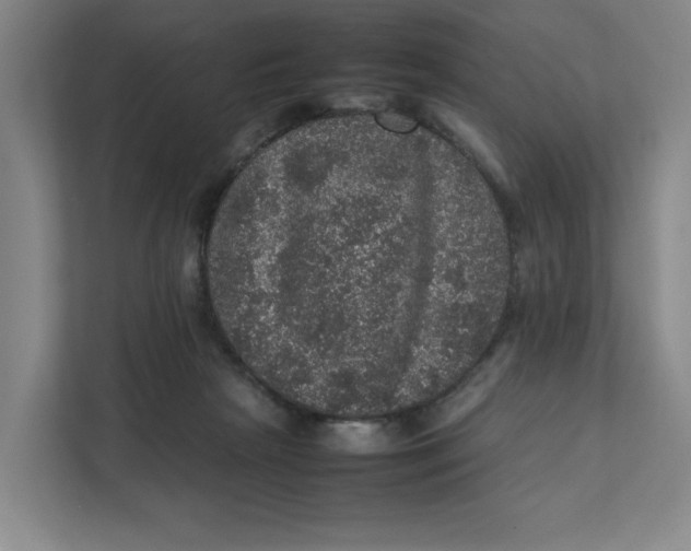 X0000111470265200908031406