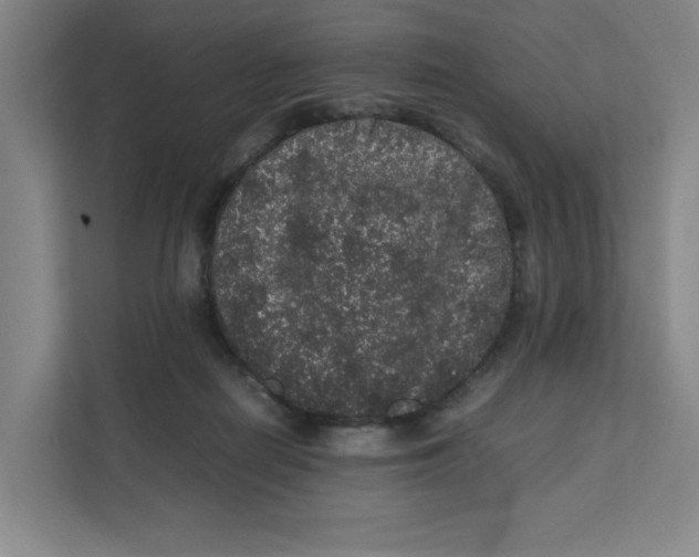 X0000111470266200908031406