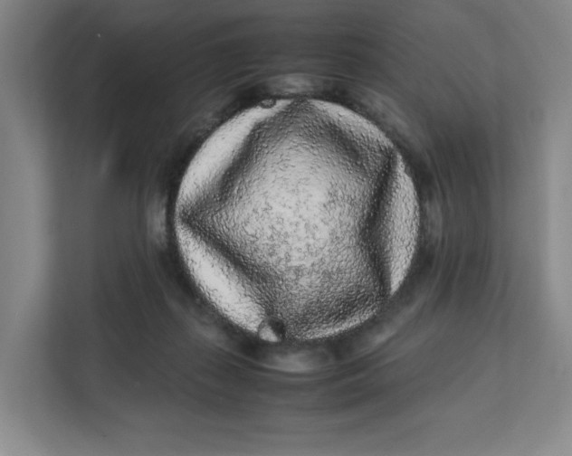 X0000111470267200908031406