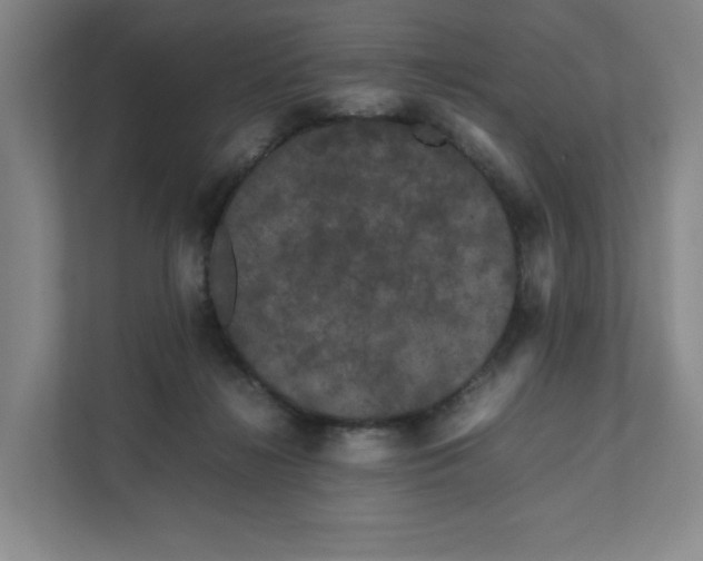 X0000111470268200908031406