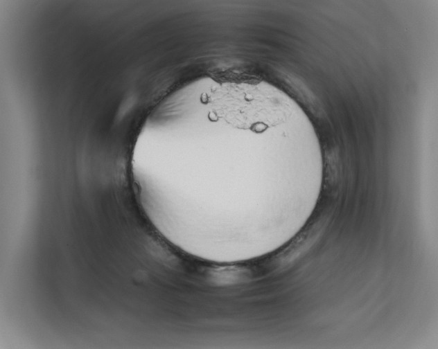 X0000111470269200908031406