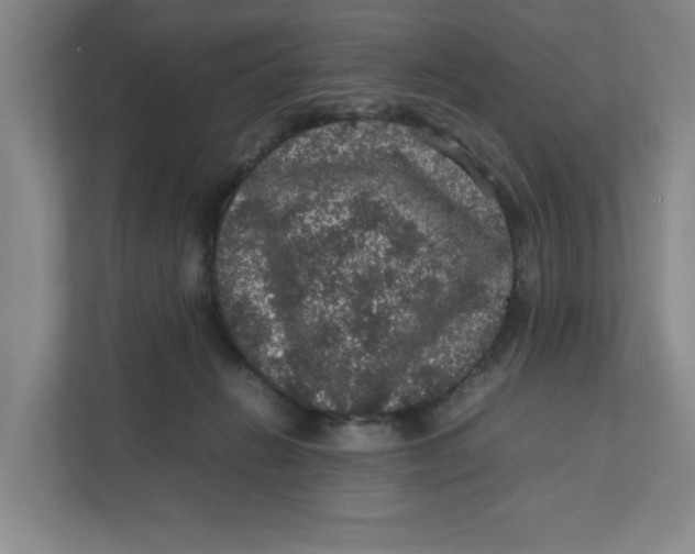 X0000111470270200908031406