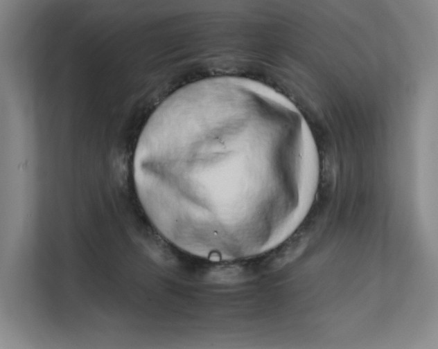 X0000111470271200908031406