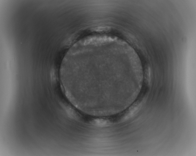 X0000111470272200908031406