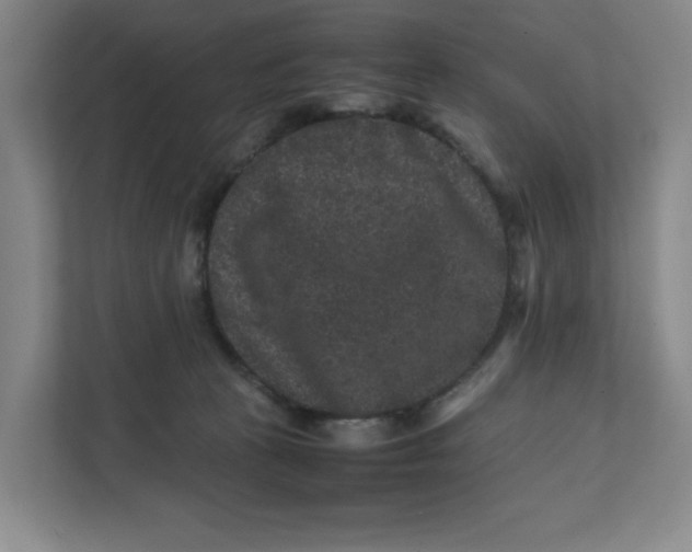 X0000111470273200908031406