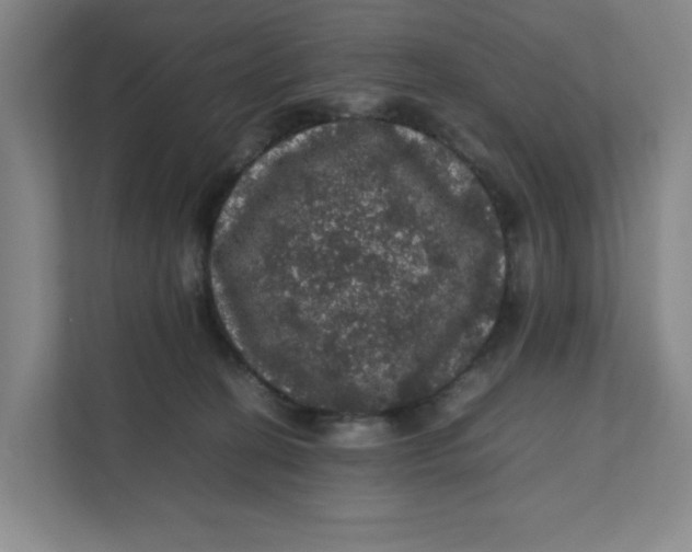 X0000111470274200908031406