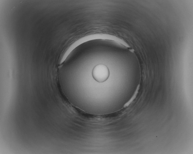 X0000111470276200908031406