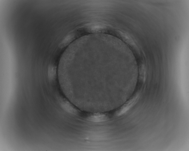 X0000111470278200908031406