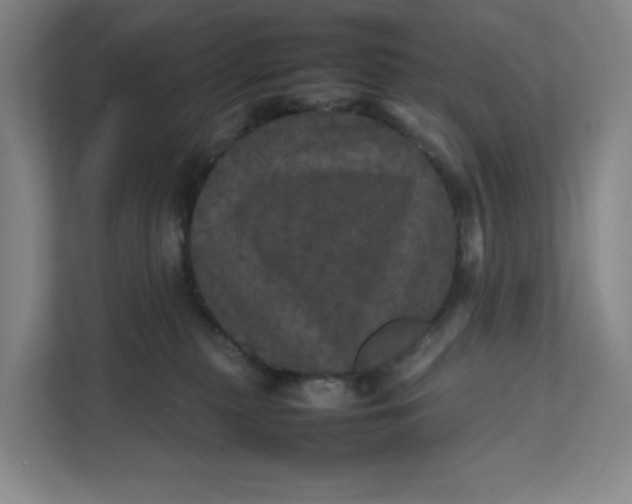 X0000111470279200908031406