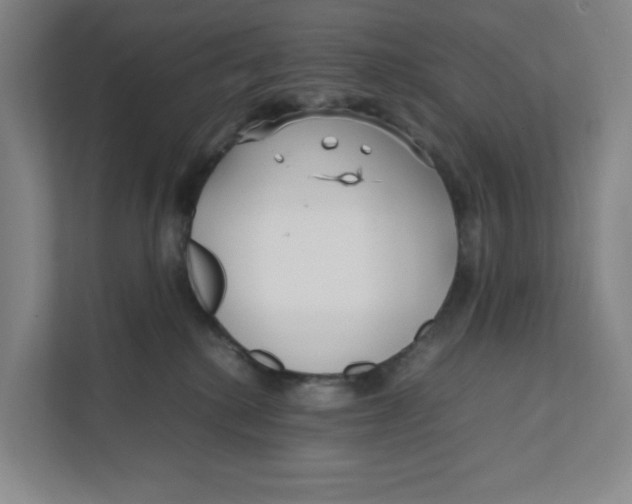 X0000111470280200908031406