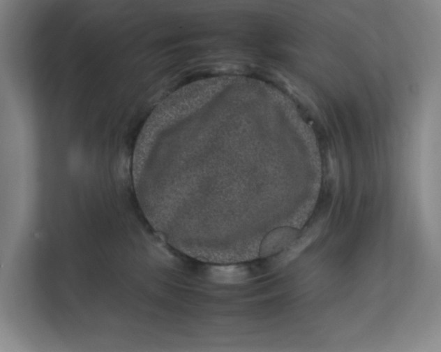 X0000111470281200908031406