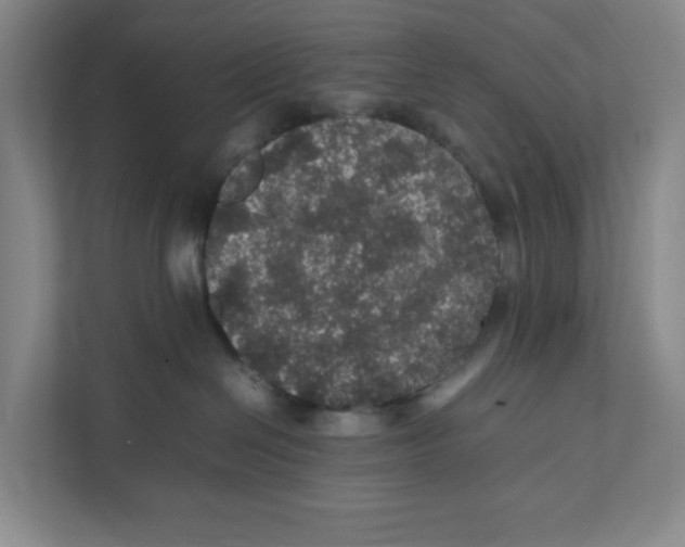 X0000111470286200908031406