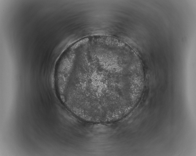 X0000111470290200908031406