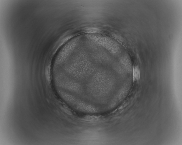 X0000111470291200908031406