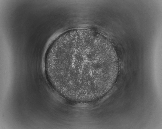 X0000111470294200908031406