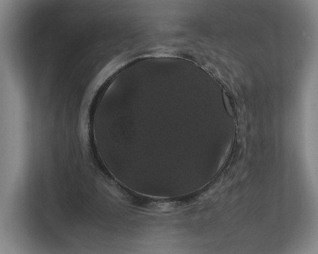 X0000111470295200908031406