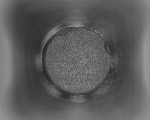 X0000111470296200908031406