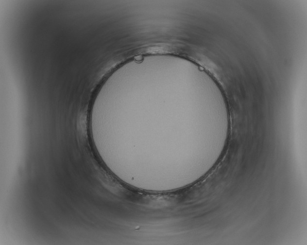 X0000111470297200908031406