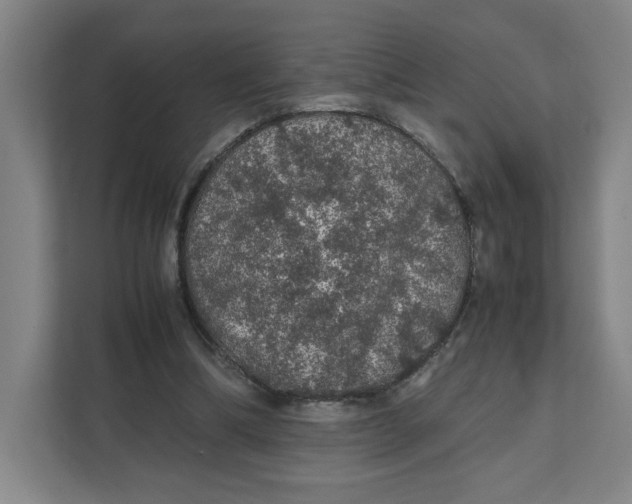 X0000111470298200908031406