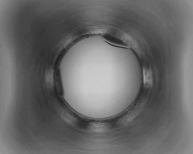 X0000111470300200908031406