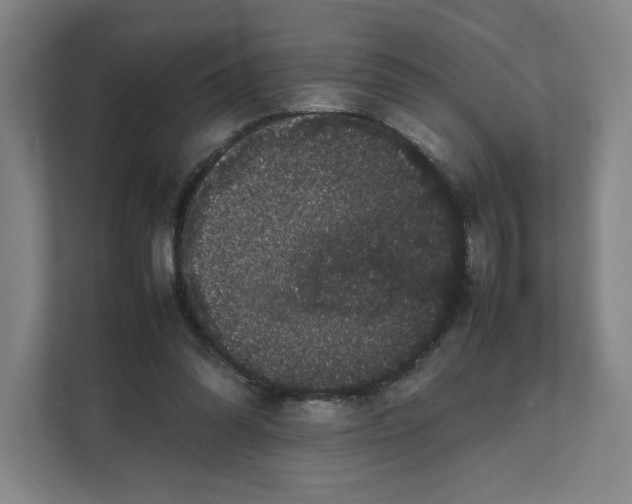 X0000111470302200908031406