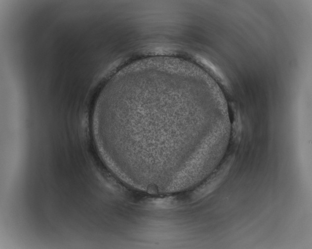 X0000111470306200908031405