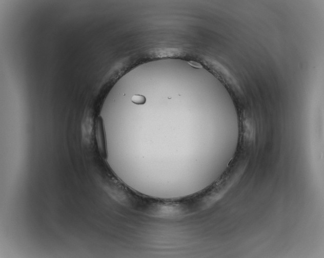 X0000111470308200908031405