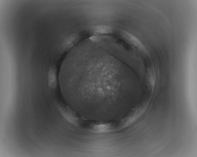 X0000111470312200908031405