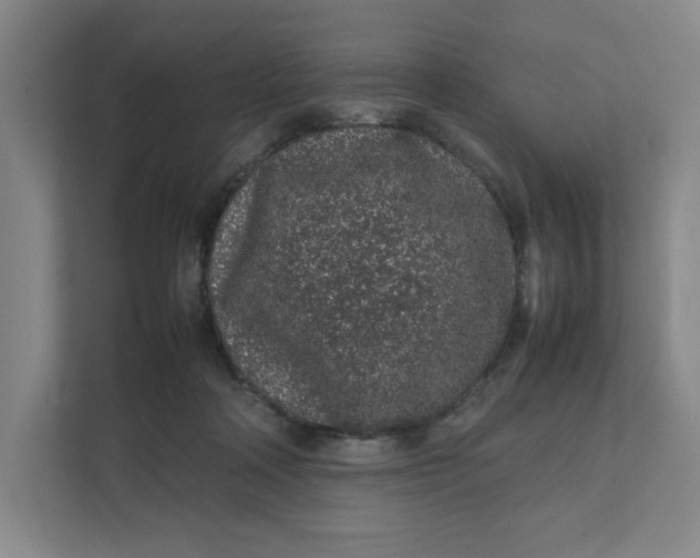 X0000111470314200908031405