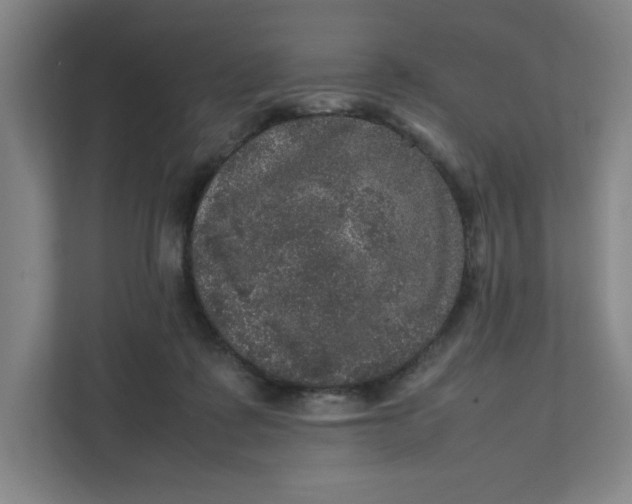 X0000111470315200908031405