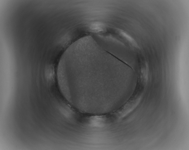 X0000111470320200908031405