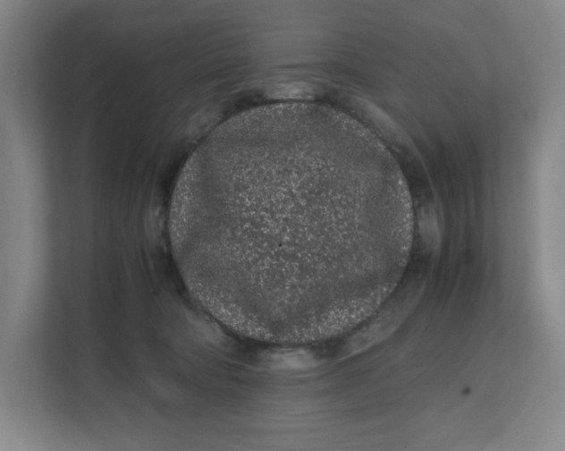 X0000111470322200908031405