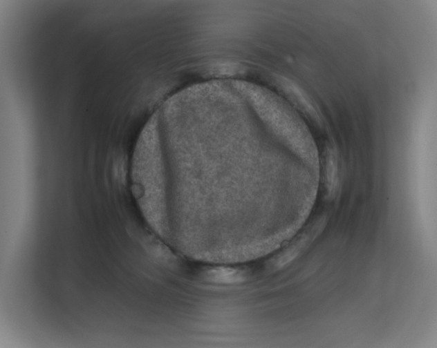 X0000111470326200908031405