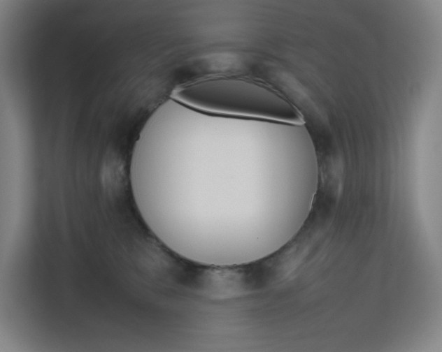 X0000111470327200908031405