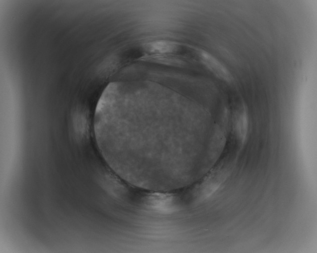 X0000111470328200908031405